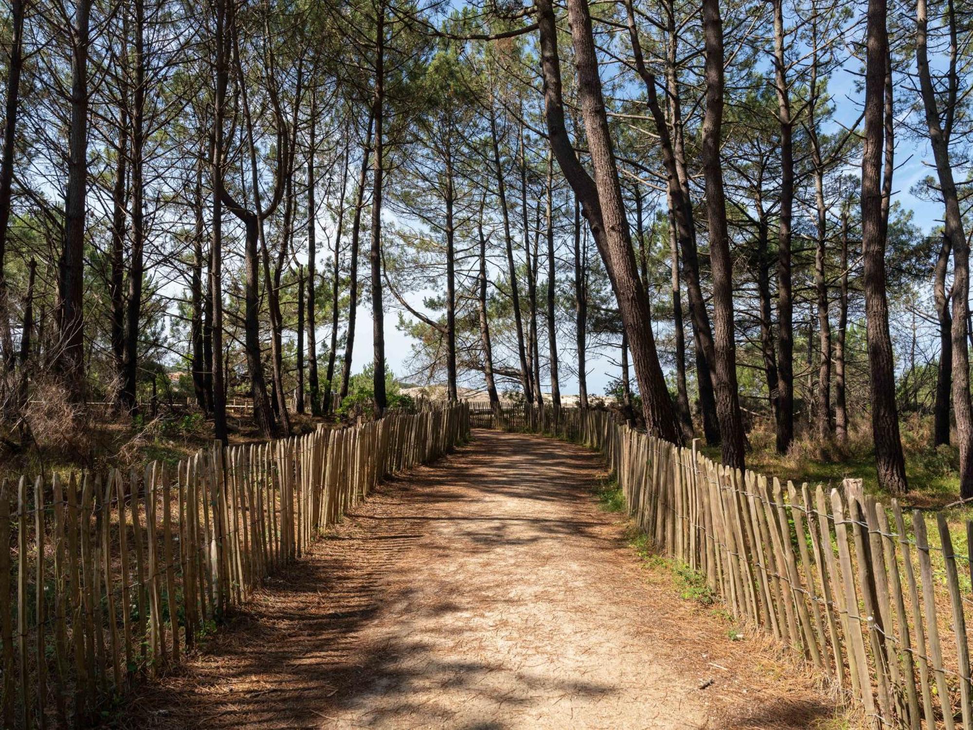 Appartement A Deux Pas De La Mer, Biscarrosse Plage - 4 Pers. - Terrasse Et Parking Inclus - Fr-1-319-447 외부 사진
